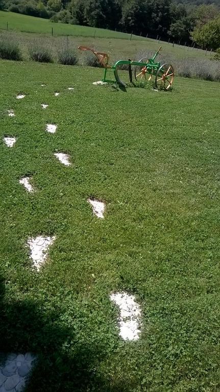 Agroturism Stara Stala Hotel Borut Luaran gambar