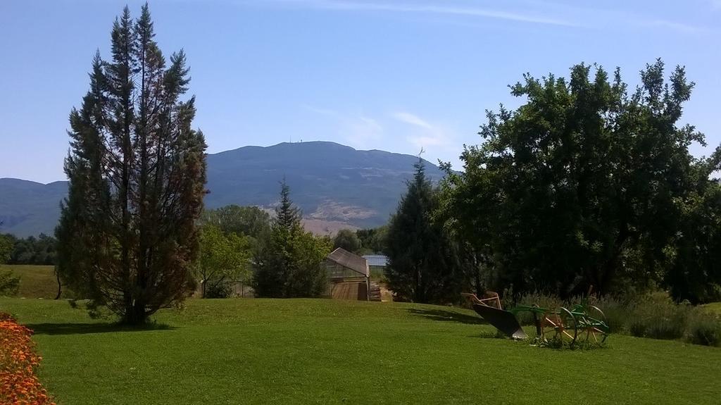 Agroturism Stara Stala Hotel Borut Luaran gambar