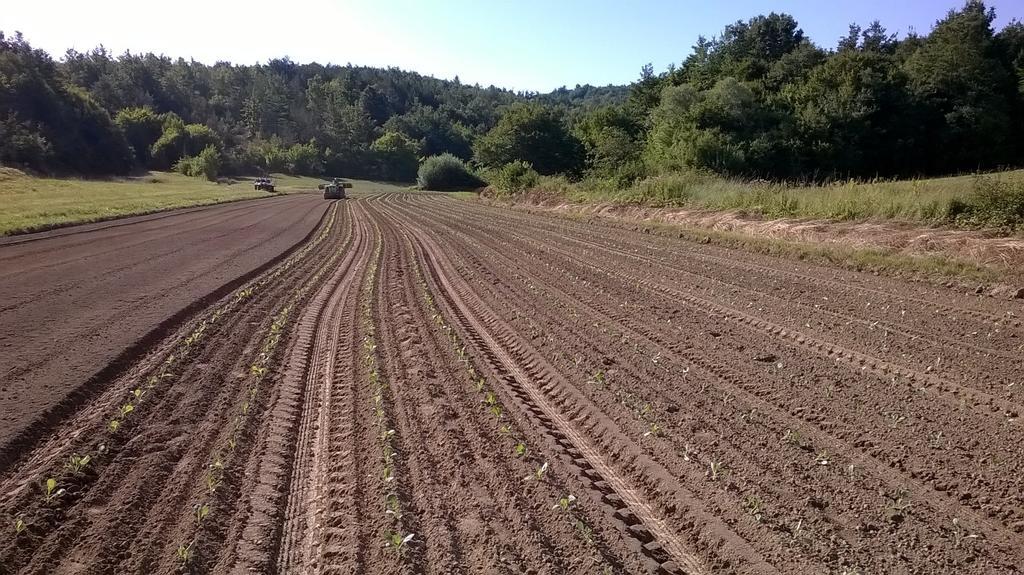 Agroturism Stara Stala Hotel Borut Luaran gambar