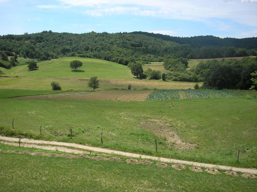 Agroturism Stara Stala Hotel Borut Luaran gambar