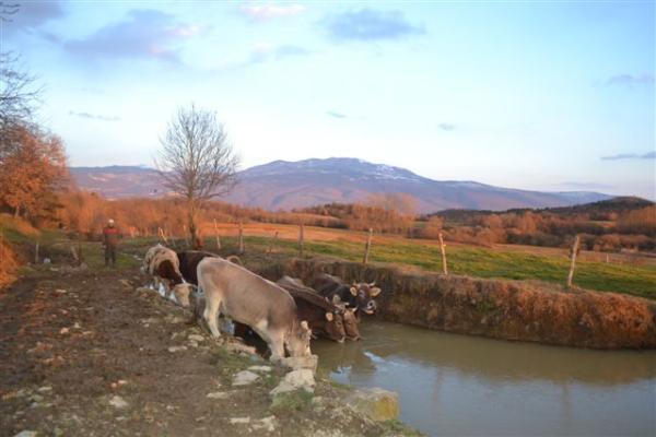 Agroturism Stara Stala Hotel Borut Luaran gambar